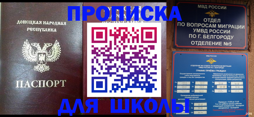 прописка для работы в Димитровграде