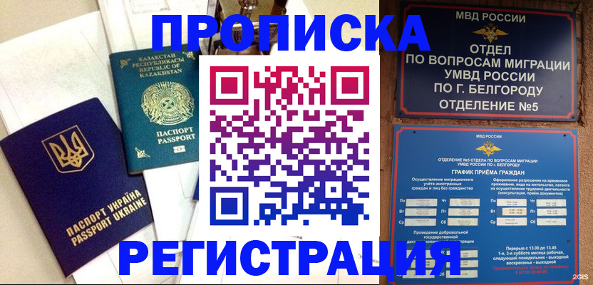 временная регистрация 2025 в Димитровграде
